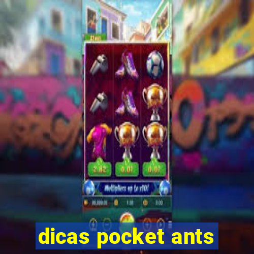 dicas pocket ants