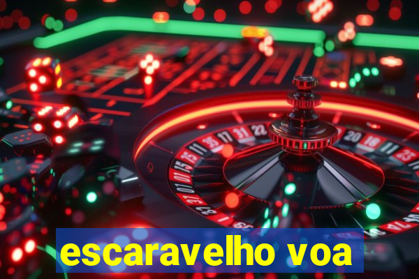 escaravelho voa