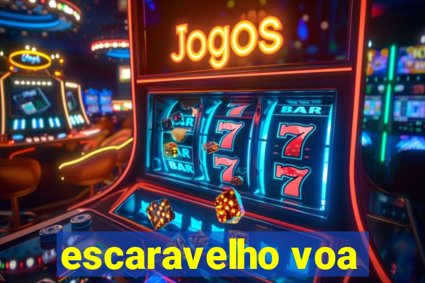 escaravelho voa