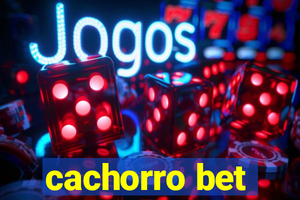 cachorro bet