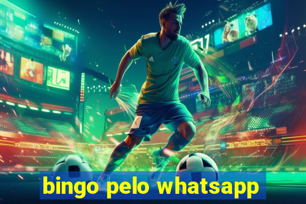 bingo pelo whatsapp