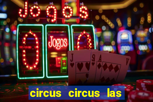 circus circus las vegas hotel & casino