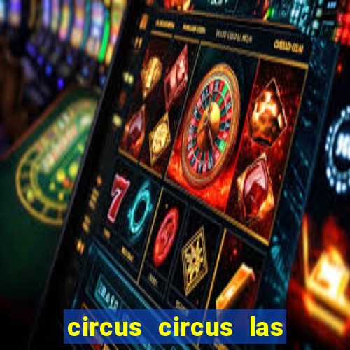 circus circus las vegas hotel & casino