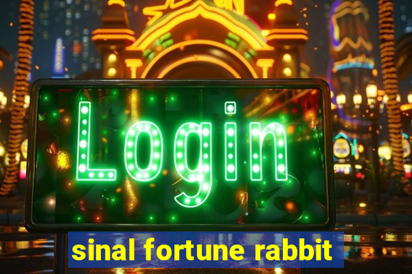 sinal fortune rabbit