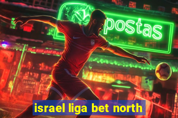 israel liga bet north