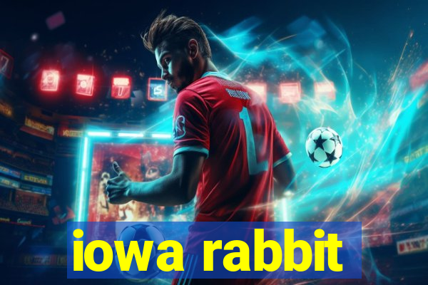 iowa rabbit