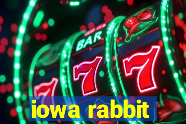 iowa rabbit