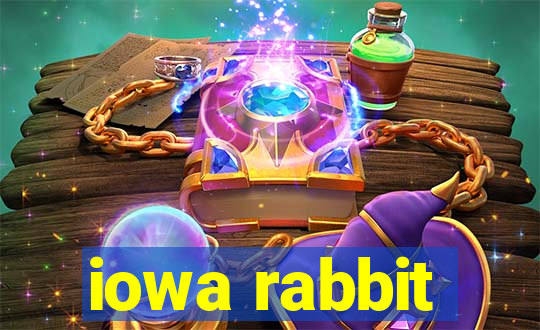 iowa rabbit