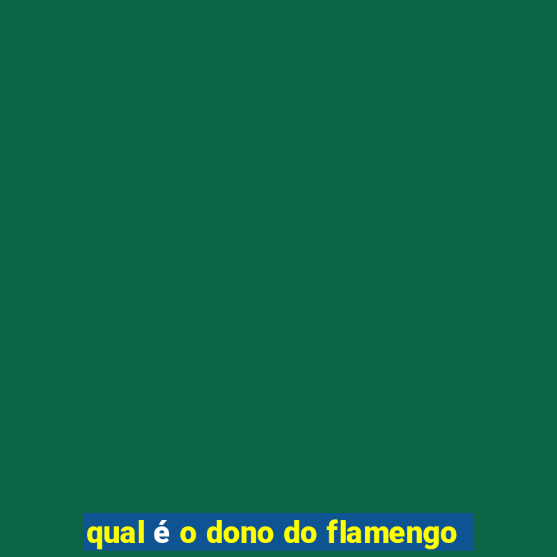 qual é o dono do flamengo