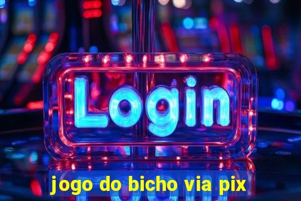 jogo do bicho via pix