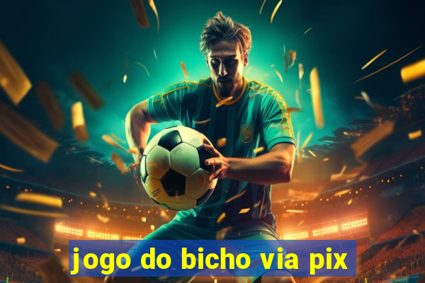 jogo do bicho via pix