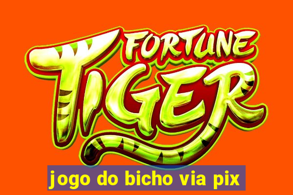 jogo do bicho via pix