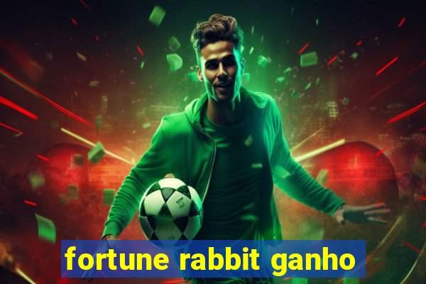 fortune rabbit ganho