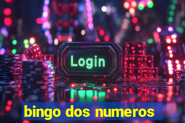 bingo dos numeros