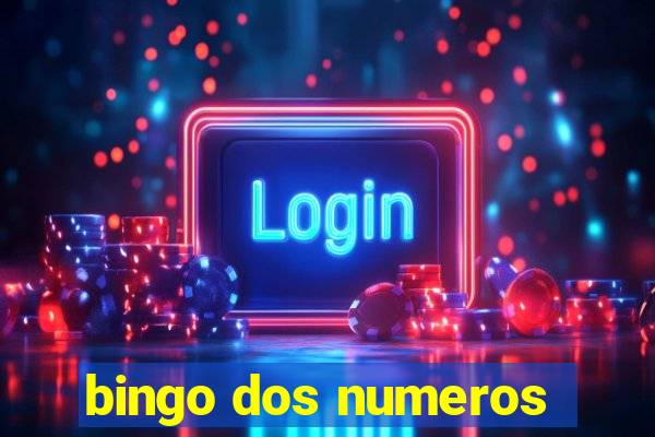 bingo dos numeros