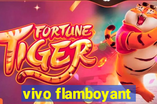 vivo flamboyant