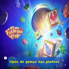 tipos de gemas nas plantas