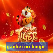 ganhei no bingo