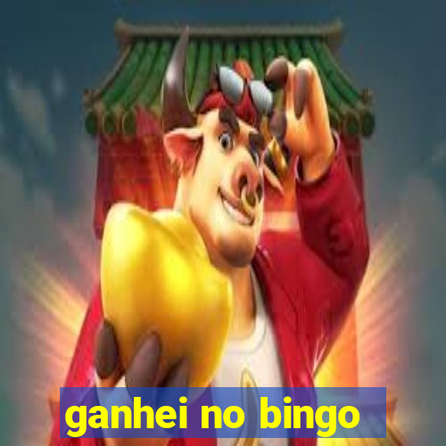 ganhei no bingo