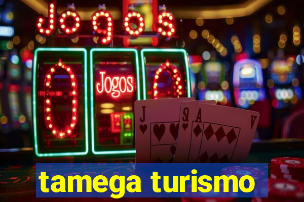 tamega turismo