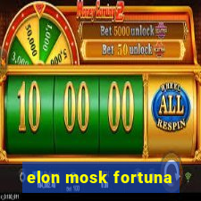 elon mosk fortuna