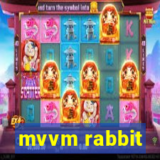 mvvm rabbit