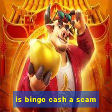 is bingo cash a scam