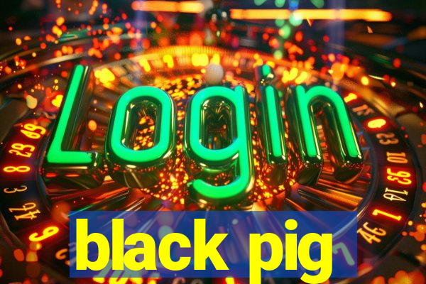 black pig