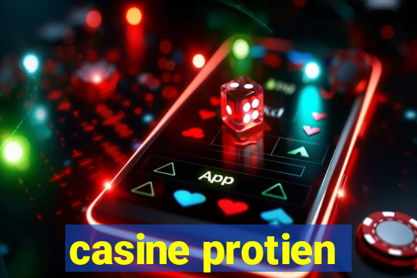 casine protien