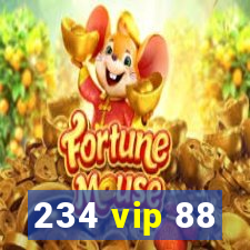 234 vip 88