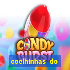 coelhinhas do brasil recife