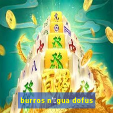 burros n'谩gua dofus