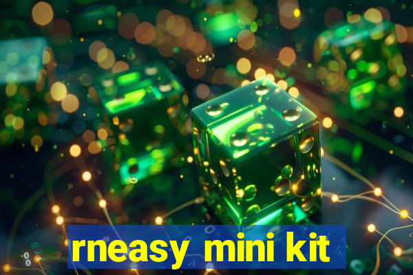 rneasy mini kit