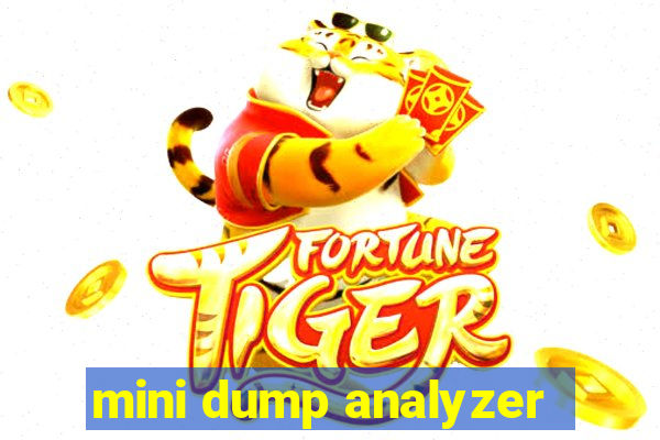 mini dump analyzer