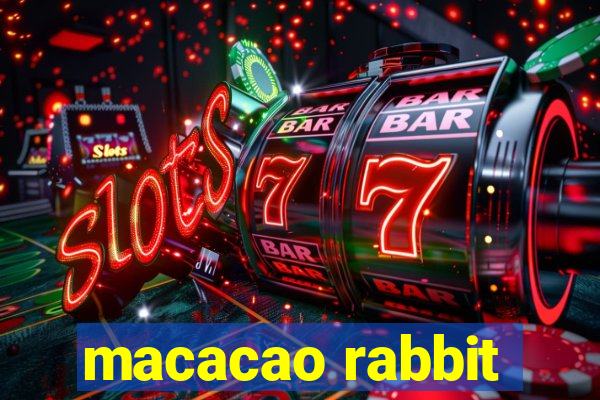 macacao rabbit