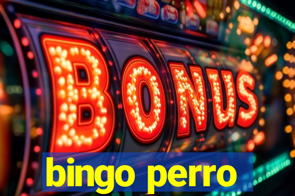 bingo perro