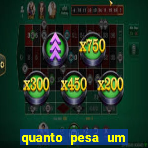 quanto pesa um porco grande