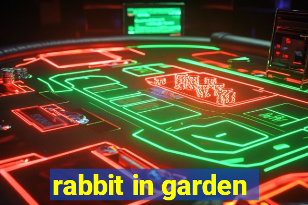 rabbit in garden