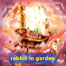 rabbit in garden