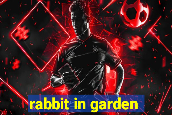 rabbit in garden