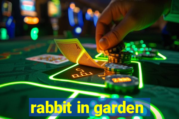 rabbit in garden