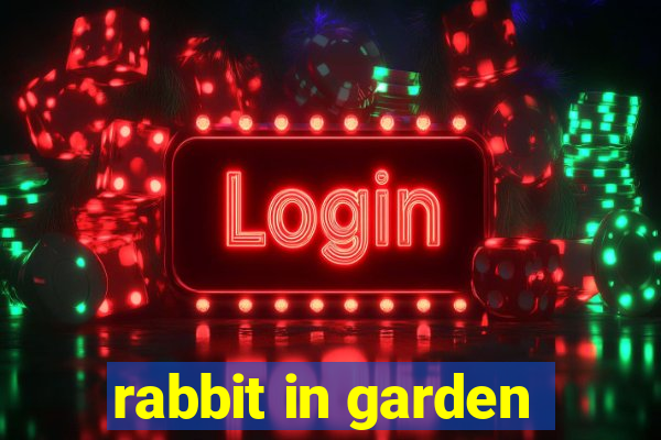 rabbit in garden