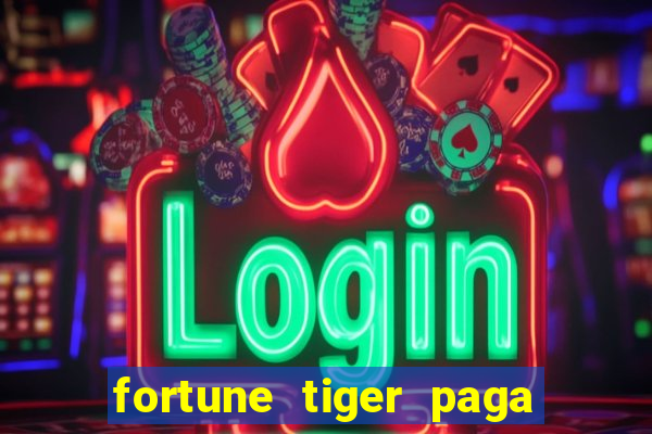 fortune tiger paga de madrugada