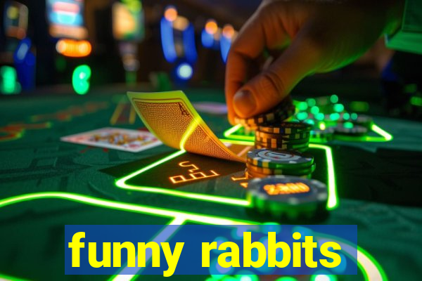 funny rabbits