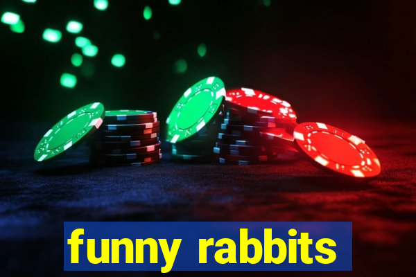 funny rabbits