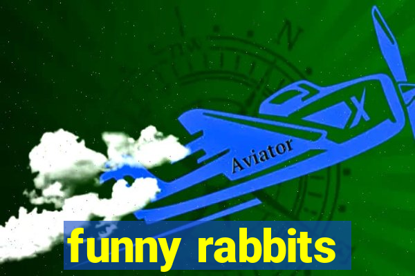 funny rabbits