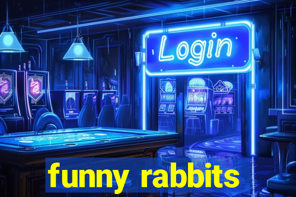 funny rabbits