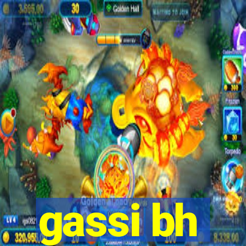 gassi bh