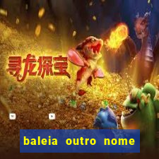 baleia outro nome da jubarte