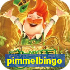 pimmelbingo